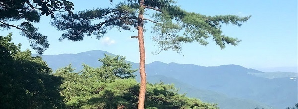 養父市吉井活動地からの涼感溢れる氷ノ山の眺望