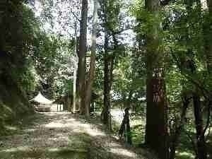 楊柳寺活動地風景