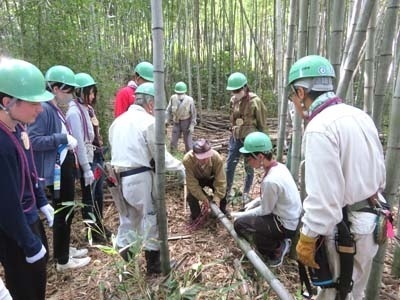 大学生達の森林整備ボランティアの体験活動