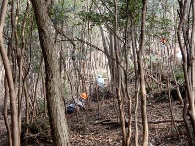 森林整備に頑張る中学生