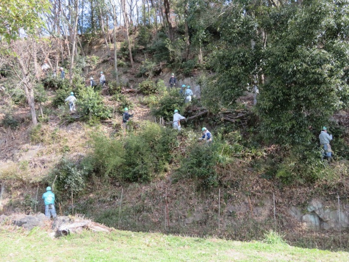 用水路上の里山整備