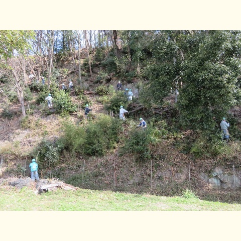 用水路上の里山整備