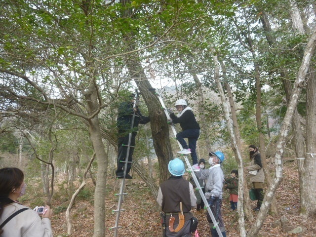 スタッフが補助して巣箱の設置