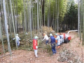 伐倒竹のチッパー作業