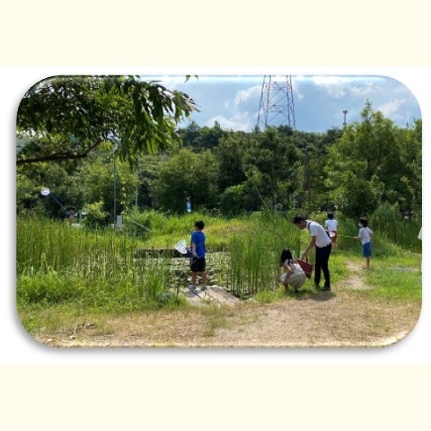  2022年6月11日  ビオトープ“未来の泉”in こうべ環境未来館