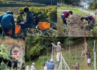 特定非営利活動法人　里地里山問題研究所の写真