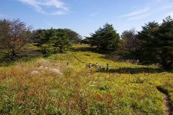 東お多福山草原保全・再生研究会の写真