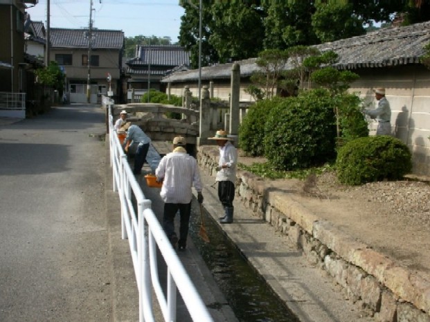 斑鳩寺清掃・草引き(毎月第4土曜日)