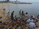 【第7回 大阪湾 生き物一斉調査】にご参加ください!