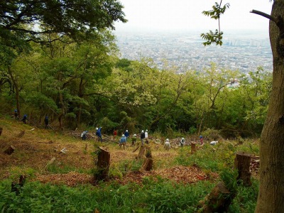 六甲山での森林ボランティア活動参加者募集