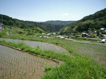 農村と里山の文化を未来につなげよう