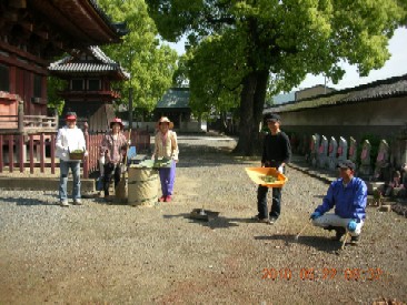 第26回斑鳩寺清掃