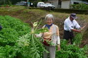 千ヶ峰のふもとで　「田舎体験ふれあいツアー」