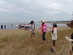 実感 アマモは海のゆりかごだ!(姫路市白浜海岸)