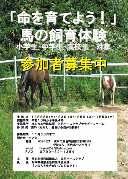 「命を育てよう!」馬の飼育体験-参加者募集中