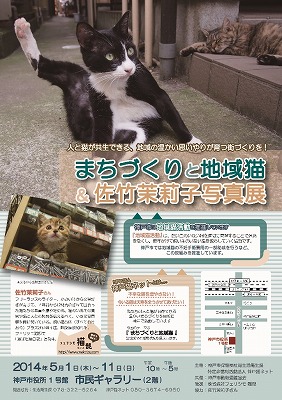 まちづくりと地域猫&amp;amp;佐竹茉莉子写真展