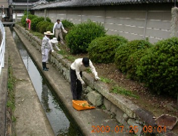 斑鳩寺清掃