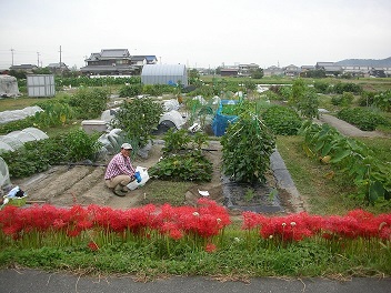 貸し農園　募集中