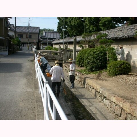 斑鳩寺清掃・草引き(毎月第4土曜日)