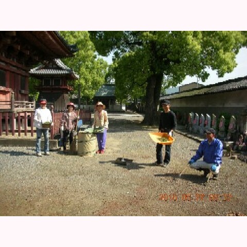 第26回斑鳩寺清掃