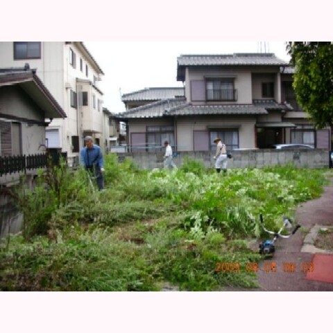 景観保全の雑木雑草の除去作業(役務提供)