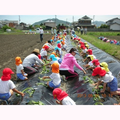 学校支援(保幼小中高)ボランティア