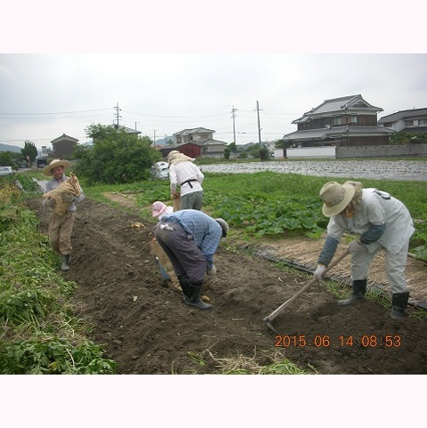 農園支援ボランティア募集(野菜作り)