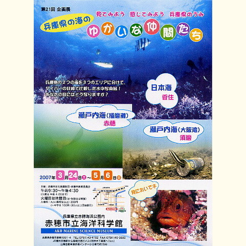 企画展『兵庫県の海のゆかいな仲間たち』