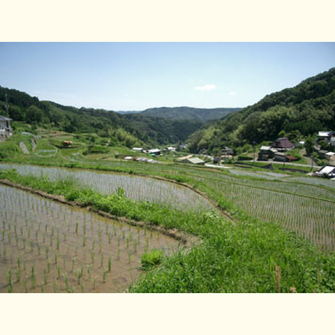 農村と里山の文化を未来につなげよう