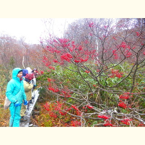 白神山地　森林の楽校2016