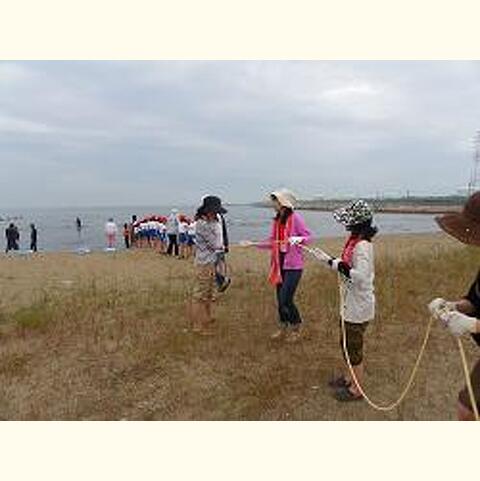 実感 アマモは海のゆりかごだ!(姫路市白浜海岸)