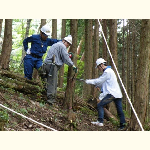 第4期「森林ボランティア青年リーダー養成講座 in関西」