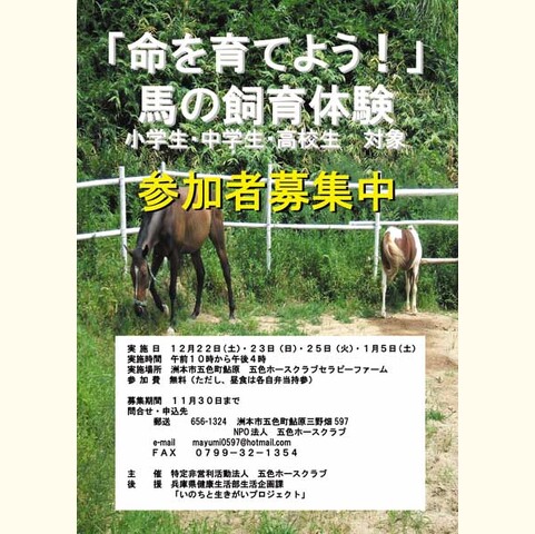 「命を育てよう!」馬の飼育体験-参加者募集中