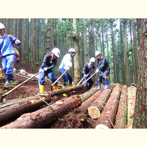 四国のへそ　森林の楽校2015