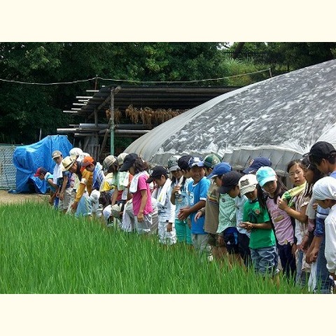 「学びの農」インストラクター募集中!!