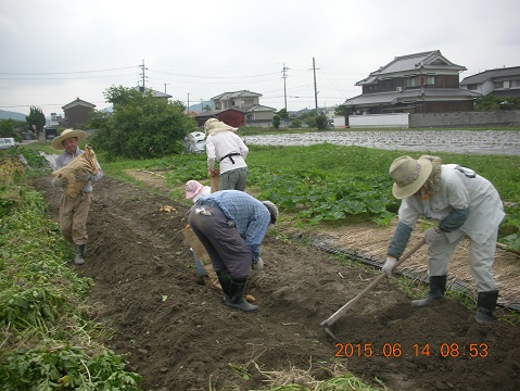 農園支援ボランティア募集(野菜作り)