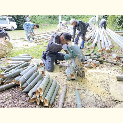 淡路島竹灯籠竹切り出し